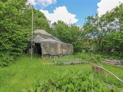 Picture 31